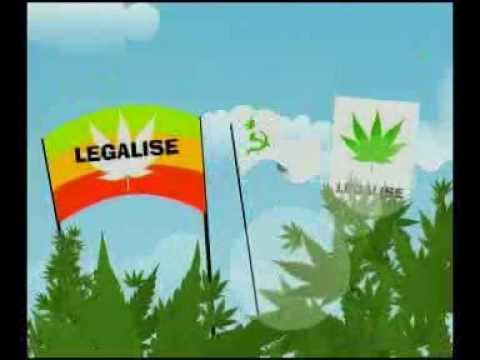Video: Legalizuokit - Ir krizės kaip ir nebūta