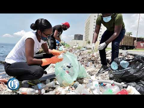 Terri-Karelle initiates Kingston Harbour clean-up