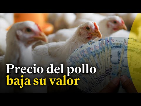 Precio del pollo sigue bajando en Lima: kilo se vende por debajo de los S/ 6 en el mayorista