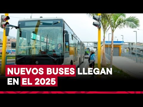 Metropolitano: renovación de flota se dará desde segundo semestre de 2025