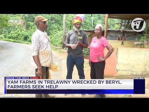 Yam Farms in Trelawny Wrecked by Beryl Farmers Seek Help | TVJ News