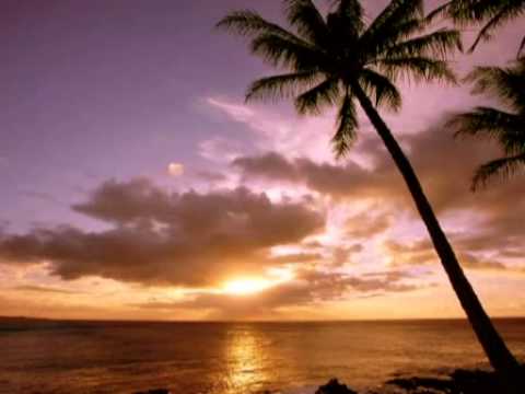 CHRIS REA - ON THE BEACH  ( LIVE )
