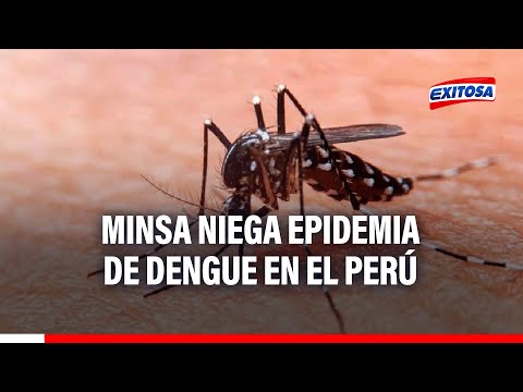 Minsa niega epidemia de dengue en el Perú: es un incremento de casos