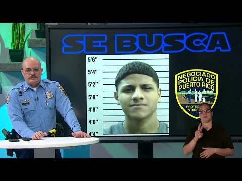 Los Más Buscados Puerto Rico: Tras la captura de Jeffrey Algarín Nieves por  doble asesinato