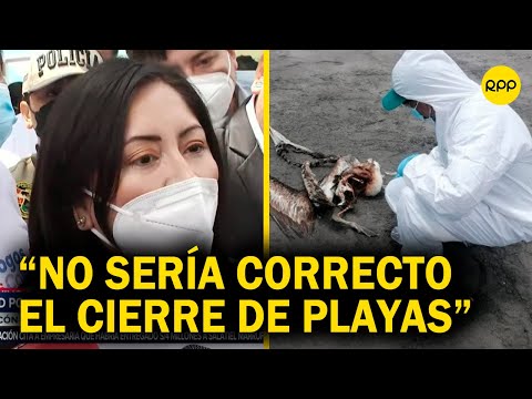 Kelly Portalatino sobre influenza aviar en Perú: No sería correcto el cierre de las playas