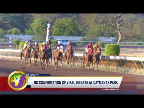 TVJ Sports: No Confirmation of Viral Disease at Caymana's Park - February 28 2020