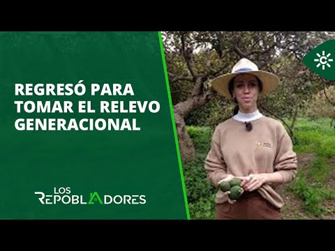 Los repobladores | En Algarrobo Costa está creando una plantación de aguacates ecológicos