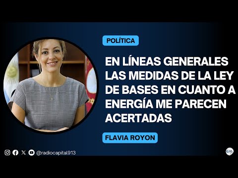 Flavia Royón: Se necesitaba un incentivo a proyectos de gas o hidrógeno, por ejemplo