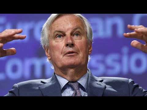 Michel Barnier califica las negociaciones post Brexit de decepcionantes