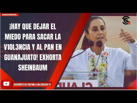 ¡HAY QUE DEJAR EL MIEDO PARA SACAR LA V10L3NCIA Y AL PAN EN GUANAJUATO! EXHORTA SHEINBAUM