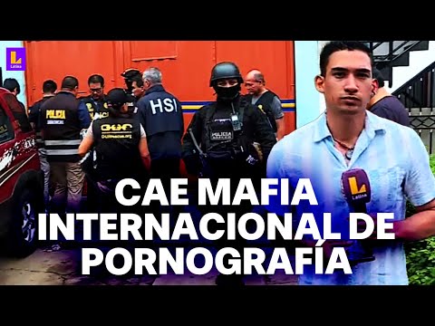 Sujeto de 23 años distribuía pornografía infantil a otros países: Así lo capturó la Policía del Perú