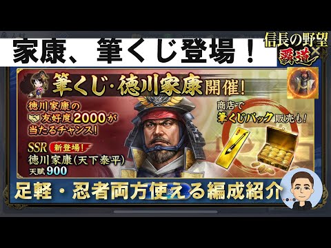 【信長の野望　覇道】 家康筆くじ　完凸編成紹介!!