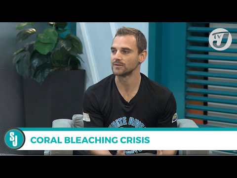 Coral Bleaching Crisis in Jamaica with Felix Charnley | TVJ Smile Jamaica