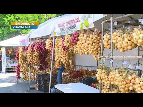 Arrancó la Feria de la Cebolla en Santa Ana
