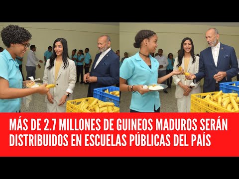 MÁS DE 2.7 MILLONES DE GUINEOS MADUROS SERÁN DISTRIBUIDOS EN ESCUELAS PÚBLICAS DEL PAÍS