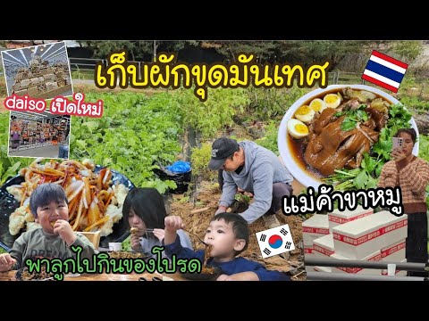 Ep.978แม่บ้านเกาหลีพ่อบ้านพา