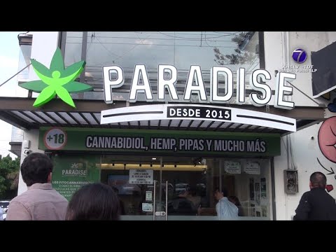 Paradise Shop abrió su segunda sucursal en San Luis Potosí