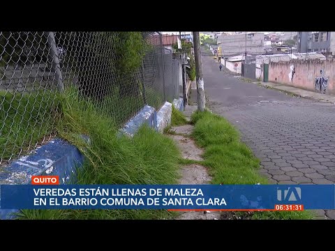 Vecinos de Comuna de Sta. Clara, norte de Quito, piden la limpieza de la maleza en las veredas