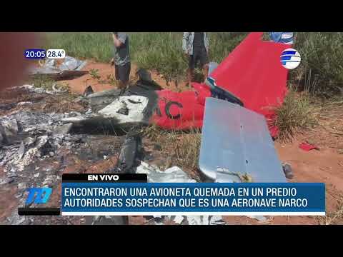 Encontraron una avioneta quemada en un predio