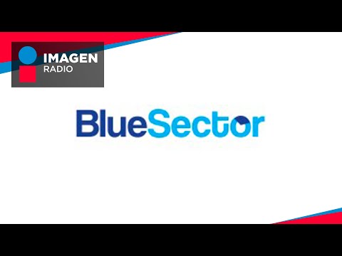 Blue Sector Group, asesoría y servicios empresariales