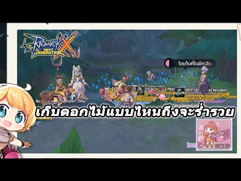ROX-เทคนิคการเก็บดอกไม้ได้มากก ROX-เทคนิคการเก็บดอกไม้ได้มากก