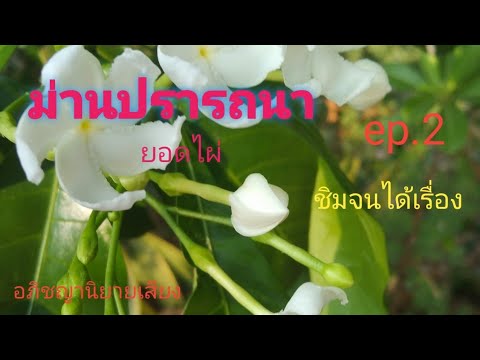 นวนิยายเสียงม่านปรารถนep.2856