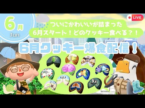 【ポケ森コンプリート】6月のかわいいクッキー爆食会！🥠| 復刻アイテムチェック✔️置くだけ簡単レイアウト作る🌳初見さん大歓迎🌱