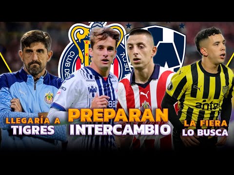 CORTIZO A CHIVAS, PIOJO A RAYADOS | PAUNOVIC SERIA DT DE TIGRES | LEO FERNÁNDEZ LLEGARÍA A LEÓN