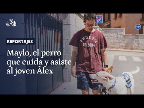 La vida con Maylo, el perro guardián que cuida y asiste a Álex, un joven con autismo