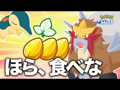 【ポケモンスリープ】三犬イベントに向けて準備開始