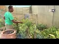 مشتل بايعشوت .. شغف أخضر يزهر في قلب الطويلة