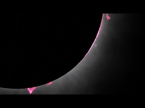 Total solar eclipse: North Americans celebrate with cheers, music and matrimony