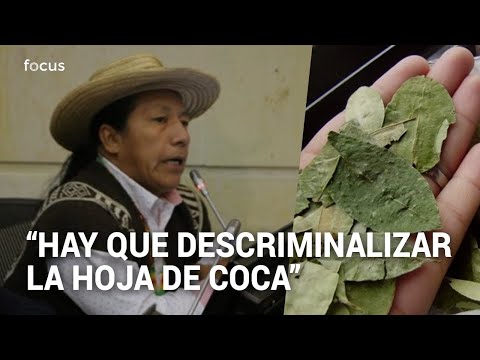 Feliciano Valencia defiende regulación de la hoja de coca en Colombia