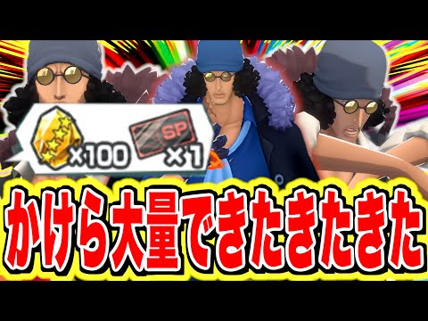 え、、激アツガチャじゃね？？【バウンティラッシュ】
