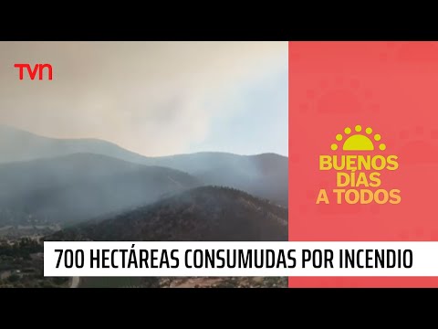 700 hectáreas consumidas por incendio forestal | Buenos días a todos