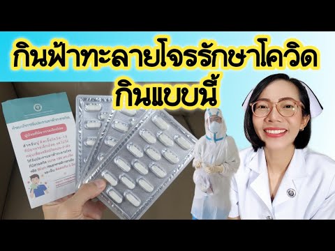 กินฟ้าทะลายโจรรักษาโควิด-ต้องก กินฟ้าทะลายโจรรักษาโควิด-ต้องก