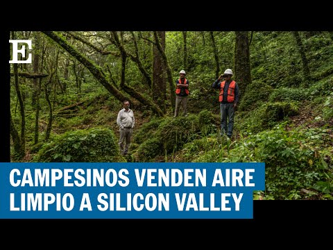 Bonos de carbono: Venta de AIRE LIMPIO a empresarios de Silicon Valley | El País