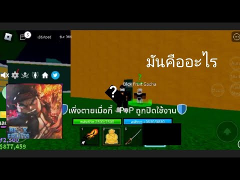 สุ่มผล4ผลจะได้ผลดีไหม|Blo