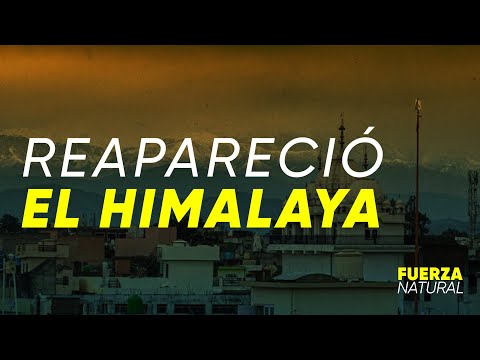 EFECTO CORONAVIRUS: REAPARECIÓ EL HIMALAYA - #FuerzaNatural
