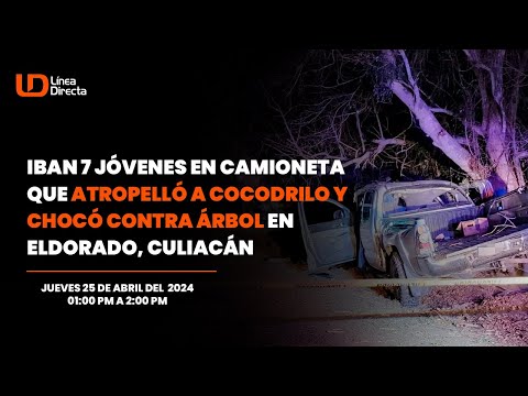 Iban 7 jóvenes en camioneta que atropelló a cocodrilo y chocó contra árbol en Eldorado, Culiacán
