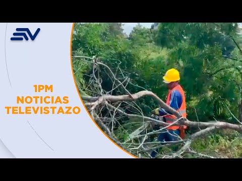 Habitantes de Olón denuncian tala de manglar | Televistazo | Ecuavisa