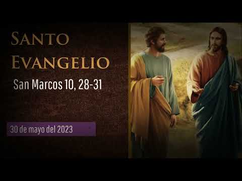 Evangelio del 30 de mayo según san Marcos 10, 28-31