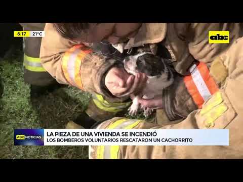 Rescatan a un cachorro tras incendió de una vivienda