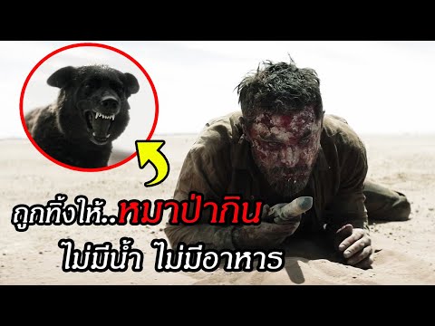 ทองคำปริศนากลางทะเลทรายใครเจอ