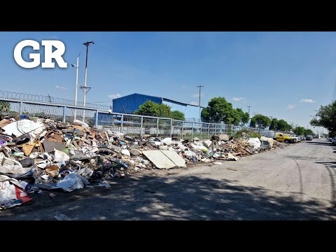 Está la Ciudad llena de cacharros para el dengue | Monterrey