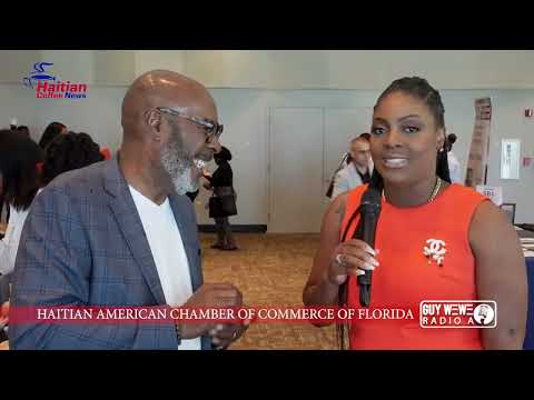 Haitian-American Emerging Business and HealthCare Innovation Summit Mixer, report: Pierre Renel Rene