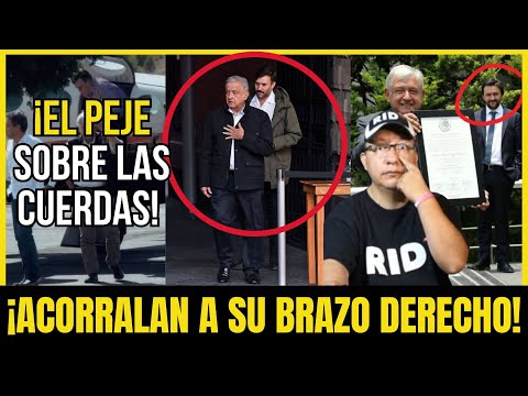 BRUTAL: ¡ACORRALAN a BRAZO DERECHO de AMLO! ¡Le HALLAN CONTRATOS MILLONARIOS! | Compilación #379