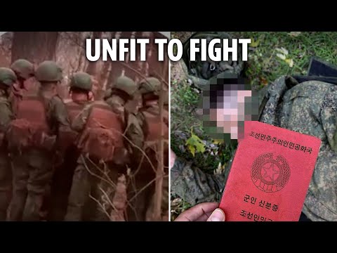 Leaked vid shows North Korean troops 'are not prepared for war' - Ukraine is not afraid of them