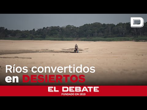 La sequía que azota Amazonas deja el Río Negro en mínimos históricos