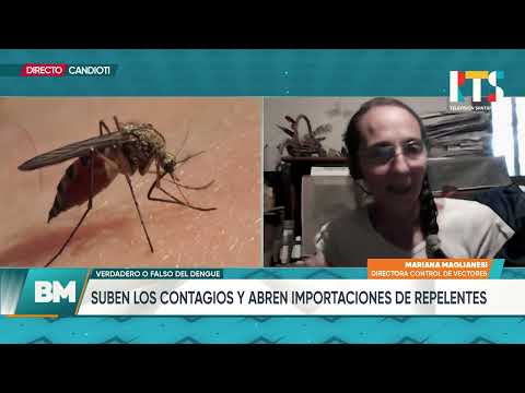 Recomendaciones sobre dengue y actualización de información